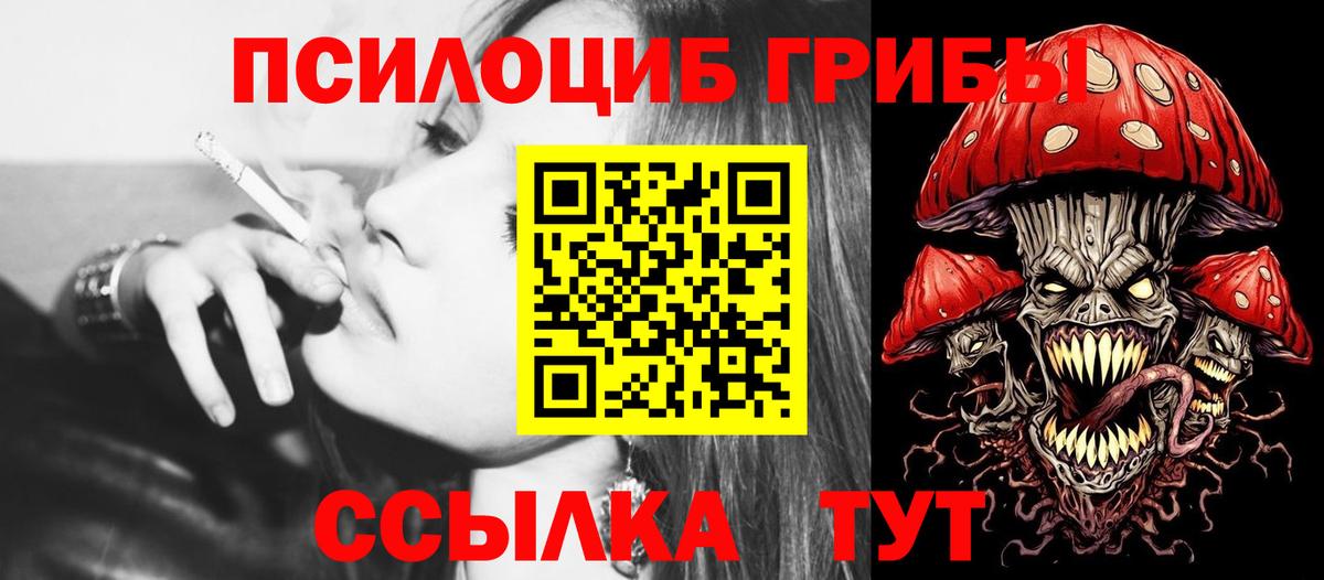 Новодвинск  как найти   Вход с VPN  Галлюциногенные грибы мухоморы 